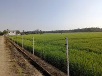  Agricultural Land for Sale in Ramnagar, Nainital