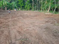  Agricultural Land for Sale in Valangaiman, Thiruvarur