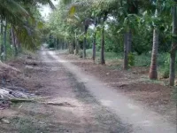  Agricultural Land for Sale in Kumbakonam, Thanjavur
