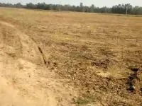  Agricultural Land for Sale in Mangaon, Raigad