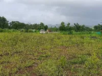  Agricultural Land for Sale in Mangaon, Raigad