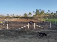  Agricultural Land for Sale in Chhutmalpur, Saharanpur