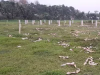  Residential Plot for Sale in Krishnanagar, Agartala