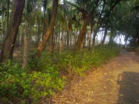  Agricultural Land for Sale in Chandor, Goa