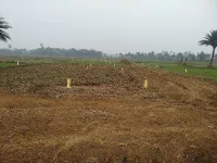 Residential Plot for Sale in Aliganj, Bhagalpur