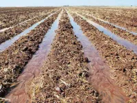  Agricultural Land for Sale in Kuvempu Nagara, Mysore