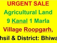  Agricultural Land for Sale in Dadri, Bhiwani