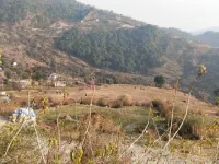  Agricultural Land for Sale in Khanyara Road, Dharamsala