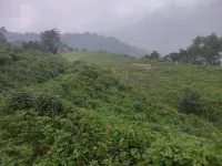Agricultural Land for Sale in Ranipokhari, Dehradun