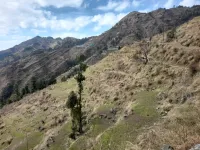  Agricultural Land for Sale in Mussoorie, Dehradun