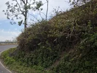  Agricultural Land for Sale in Narendra Nagar, Rishikesh