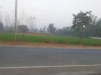  Agricultural Land for Sale in Mitra Nagar, Allahabad