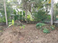  Residential Plot for Sale in Chenkottukonam, Thiruvananthapuram