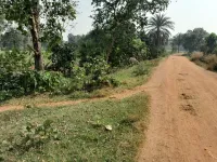  Agricultural Land for Sale in Gangajalghati, Bankura
