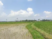  Agricultural Land for Sale in Kakinada Pithapuram Road