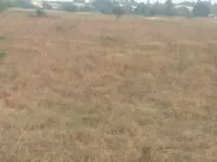  Agricultural Land for Sale in BN Reddy Nagar, Hyderabad