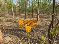  Agricultural Land for Sale in Bhongir, Yadadri Bhuvanagiri