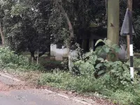  Agricultural Land for Sale in Periyakulam, Theni