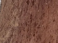  Agricultural Land for Sale in Humnabad, Bidar