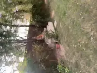 6 BHK Farm House for Sale in Radhey Mohan Drive, Chattarpur, Delhi