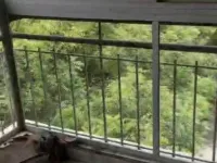 3.5 BHK Flat for Rent in Dwarka, Delhi