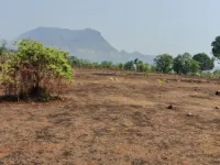 Agricultural Land for Sale in Mahad, Raigad