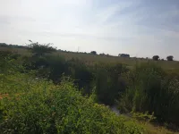 1 RK Farm House for Sale in Uppuguda, Hyderabad