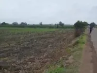  Agricultural Land for Sale in Daund, Pune