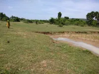 Agricultural Land for Sale in Ponnamaravathi, Pudukkottai