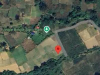  Agricultural Land for Sale in Ferrargunj, Andaman