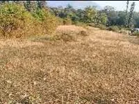  Agricultural Land for Sale in Ramnagar, Nainital
