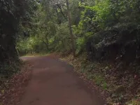 Residential Plot for Sale in Mandrem, North Goa,