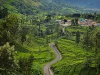  Agricultural Land for Sale in Udhagamandalam, Nilgiris