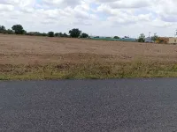  Agricultural Land for Sale in Gobichettipalayam, Erode