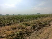  Agricultural Land for Sale in Butibori, Nagpur