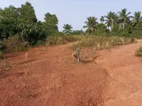  Residential Plot for Sale in Puttur, Dakshin Kannad