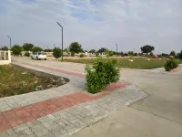  Residential Plot for Sale in Mihan, Nagpur