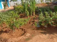  Residential Plot for Sale in Uthukkottai, Thiruvallur