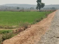  Agricultural Land for Sale in Lachapet, Kamareddy