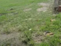  Residential Plot for Sale in Pachrukhi, Siwan