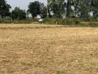 Industrial Land for Sale in Raipur Rani, Panchkula