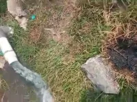 Agricultural Land for Sale in Narayankhed, Sangareddy