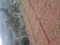  Agricultural Land for Sale in Thuneri, Ooty