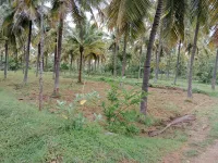 Agricultural Land for Sale in Tiptur, Tumkur