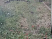  Residential Plot for Sale in Roshnabad, Haridwar