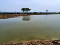  Agricultural Land for Sale in Jaggampeta, East Godavari