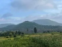  Agricultural Land for Sale in Khandwa Road, Indore