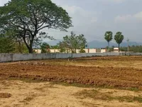 Agricultural Land for Sale in Devarapalli, Visakhapatnam