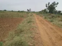  Agricultural Land for Sale in Kadapa, Cuddapah