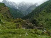  Agricultural Land for Sale in Khanyara Road, Dharamsala